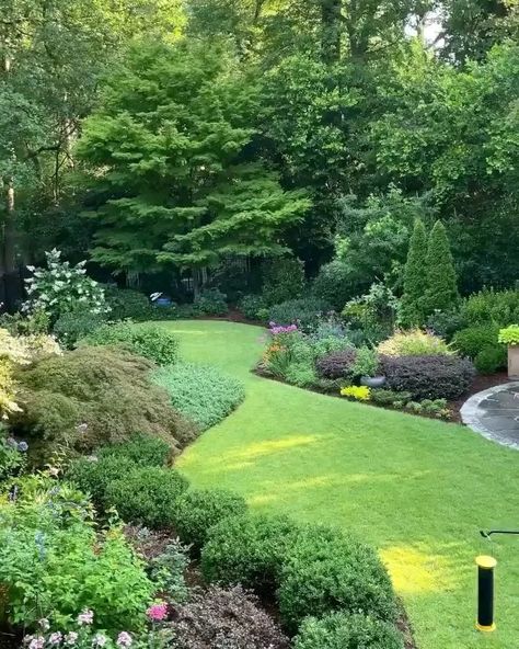 Gardening Pathways, Tiered Backyard, Hinoki Cypress, Landscaped Garden, Fall Garden Vegetables, Recycled Garden, Lawn And Landscape, Garden Landscape Design, Garden Cottage