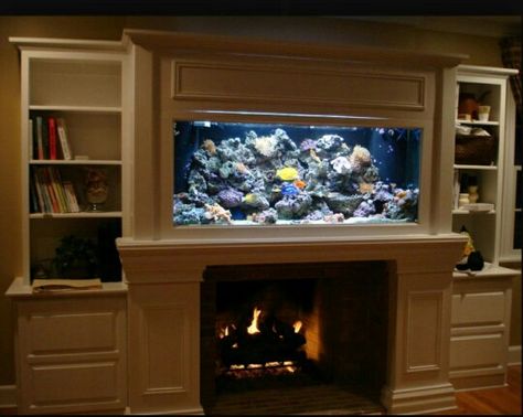 Fireplace under Fish Tank Fireplace Aquarium, Built In Aquarium, Aquarium In Wall, Aquarium Living Room, Pet Octopus, Space Saving Ideas For Home, Fish Tank Wall, Wall Aquarium, Above Fireplace