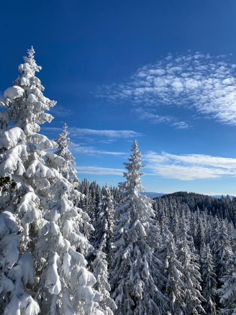 Sunny Winter Aesthetic, Luxury Ski Trip Aesthetic, Ski Town Aesthetic, Bulgaria Skiing, Pamporovo Bulgaria, Bansko Bulgaria, Bansko Bulgaria Ski, Snow Season, Pamporovo Bulgaria Ski