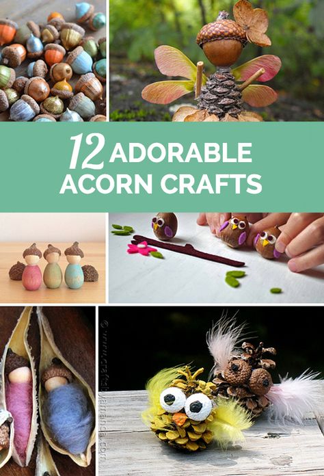 12 Adorable Acorn Crafts for Kids November Crafts For Kids, Fall Crafting, November Crafts, Acorn Crafts, Pine Cone Crafts, Fall Crafts For Kids, Autumn Crafts, Crafts For Kids To Make, Top Crafts