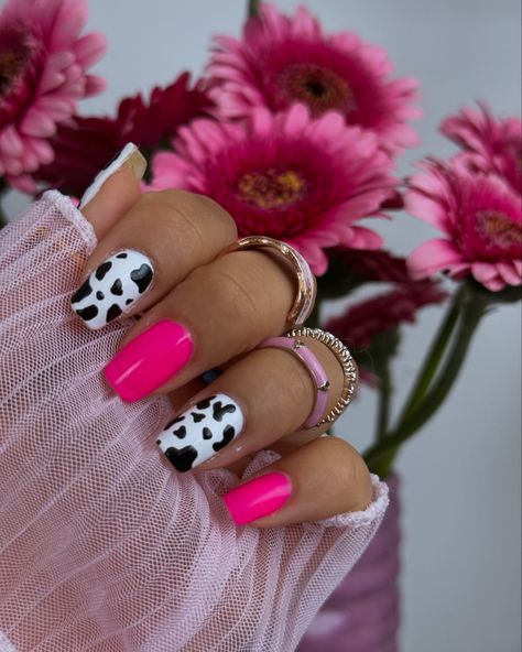 P I N K + 🐄 + an artsy fartsy song #nails #nailart #nailsnailsnails #pinknails #cowprintnails #cows #animalprint #manicure #gelnails #gel #unhas #unhasdecoradas #unhasdegel #unhasrosas Pink Cowprint Nails French Tip, Hot Pink Animal Print Nails, Hot Pink Cow Print Nails, Pink Cow Nails, Country Nails, Cow Nails, Print Nails, Animal Print Nails, Black Cow