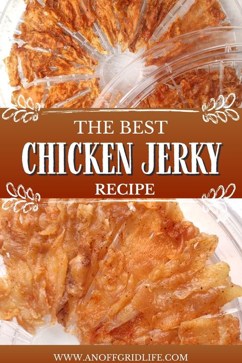 Jerky Marinade Recipes, Jerky Recipes Dehydrator, Oven Jerky, Dehydrator Recipes Fruit, Jerkey Recipes, Jerky Marinade, Food Dryer, Dehydrated Chicken, Jerky Recipe