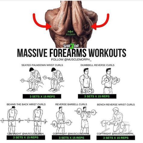 Forearm Workout, Gym Antrenmanları, Arm Exercises, Gym Workout Chart, Step Workout, Workout Posters, Pencak Silat, Trening Fitness, Exercise Routines