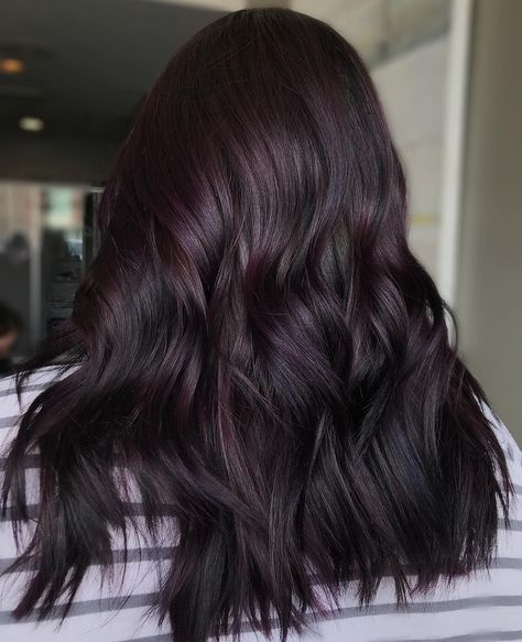 Dark Hair Violet Highlights, Eggplant Hair Color With Highlights Dark Purple, Dark Brown Hair With Hints Of Purple, Eggplant Black Hair, Purple Toned Black Hair, Dark Hair Violet Undertone, Dark Plum Black Hair, Midnight Violet Black Hair Color, Dark Brown With Plum Highlights