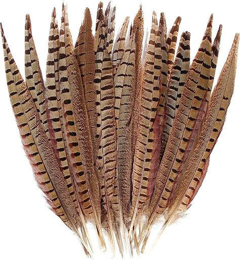 Amazon.com : Pheasant Feathers Wedding Party Centerpieces, Home Wedding Party, Pheasant Feather, Pheasant Feathers, Diy Hat, Crafts Home, Tail Feathers, Craft Wedding, Craft Lovers