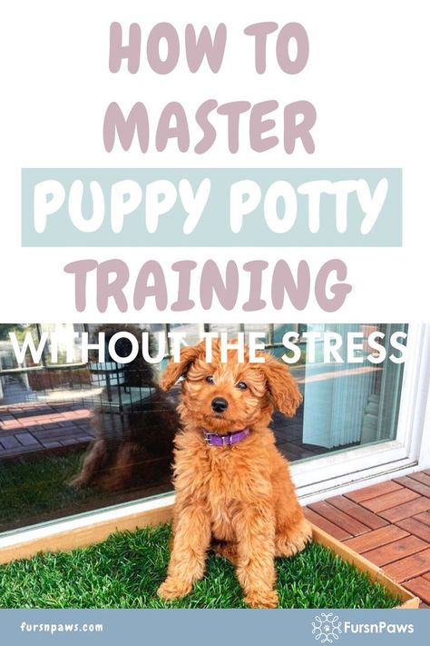 Tips For Potty Training Puppies / Training Puppy To Potty Outside / Dog potty training / Dog Training Tips How To Train A Puppy, Training Tips For Puppies, Tips For Puppies, Potty Training Puppies, Puppy Potty Training Tips, Puppy Potty Training, Training Puppies, Train A Puppy, Best Potty