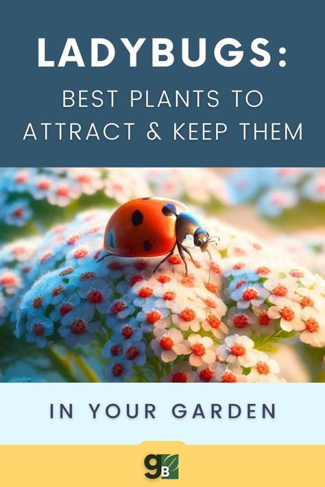 Discover the ultimate guide on how to attract ladybugs to your garden and maintain their presence! Ladybugs are not only beautiful but also incredibly beneficial for your plants. Learn the best plants and methods to attract these friendly insects and keep them thriving in your garden ecosystem. How To Attract Ladybugs To Your Garden, Garden Ecosystem, Garden Pests Control, Perennial Garden Plans, Gardening Herbs, Organic Gardening Pest Control, Herbs Plants, Ladybug Garden, Garden Insects