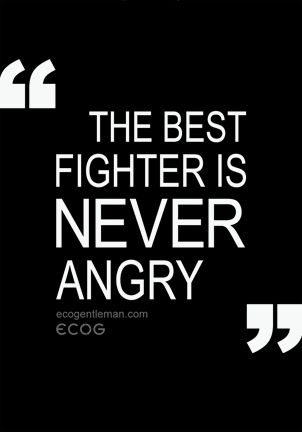 ♂ Ancient Chinese Quote by Lao Tzu “The best fighter is never angry.” Black & White Martial Arts Martial Arts Quotes, Chinese Quotes, Pencak Silat, Ju Jitsu, Warrior Quotes, Wise Quotes, Great Quotes, Wisdom Quotes, Karate