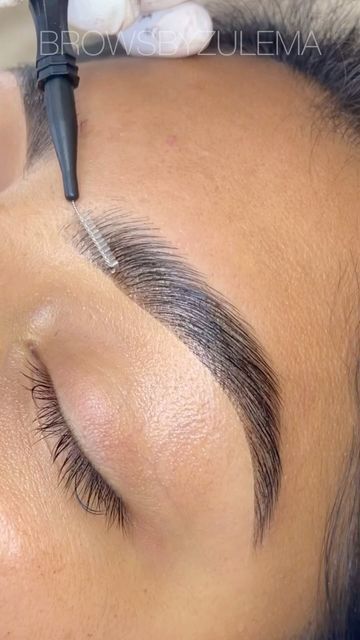 Eyebrow Lamination And Tint, Brow Tint And Lamination, Brow Lamination Before And After, Eyebrow Wax And Tint, Brow Lamination And Tint, Brow Wax And Tint, Brow Business, Brow Waxing, Eyebrows Done