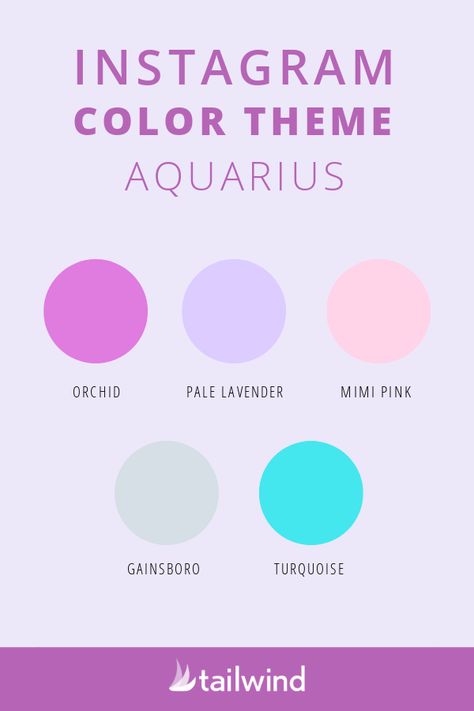 The Best Instagram Color Themes for Your Zodiac Sign | Social Media Marketing Tips and News Instagram Color Themes, Theme For Instagram, Scorpio Color, Zodiac Signs Colors, Instagram Feed Planner, Ideas For Instagram, Hex Color Palette, Color Palette Challenge, Age Of Aquarius