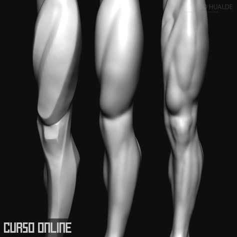 Leg Muscles Anatomy, Anatomy Drawing Practice, Zbrush Anatomy, Leg Anatomy, Human Muscle Anatomy, Human Anatomy Reference, 3d Karakter, Zbrush Tutorial, Man Anatomy