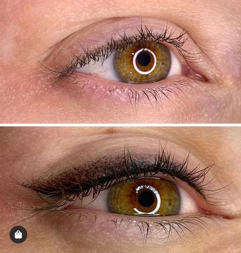 Shaded Eyeliner Tattoo, Tatooed Eyeliner, Eyeliner Tattoo Ideas, Smoked Out Eyeliner, Permanent Eyeliner Styles, Eyeliner Tattoo Permanent, Pmu Eyeliner, Semi Permanent Eyeliner, Mircoblading Eyebrows