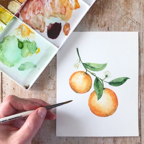 Watercolor Oranges Tutorial, Watercolor Art Orange Fruit, Paint Orange Fruit, Oranges Watercolor Paintings, Orange Tree Watercolor, Orange Watercolor Painting, Watercolor Fruit Tutorial, Watercolour Fruits, Citrus Watercolor