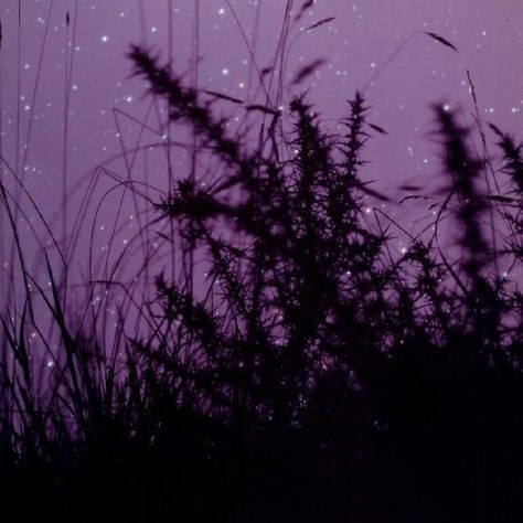 Purple Country Aesthetic, Purple Western Aesthetic, Night Aesthetic Purple, Purple Night Aesthetic, Susan Derges, Purple Photography, Purple Night, Violet Aesthetic, Purple Vibe