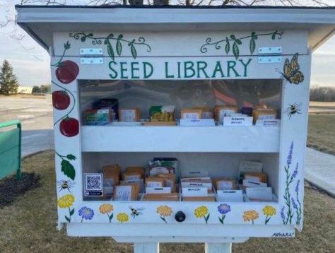 Paper Flowers Backdrop, Seed Library, Kaktus Dan Sukulen, Flowers Backdrop, Little Library, School Garden, Farm Stand, Free Library, Garden Club