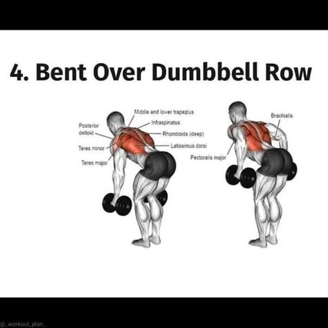 fitness training Athlete Diet, Dumbbell Row, Latissimus Dorsi, Muscle Up, Diet Exercise, Back Day, Dumbbell Workout, Back Exercises, Upper Body Workout