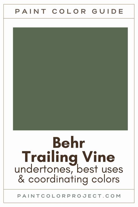 Behr Green Color Palette, Forest Green Paint Color Behr, Behr Earthy Green Paint Colors, Behr Incognito Paint, Vine Leaf Behr Paint Color Palette, Behr Cypress Vine Paint, Trailing Vine Behr Paint, Behr Paint Green Cabinets, Equestrian Green Behr