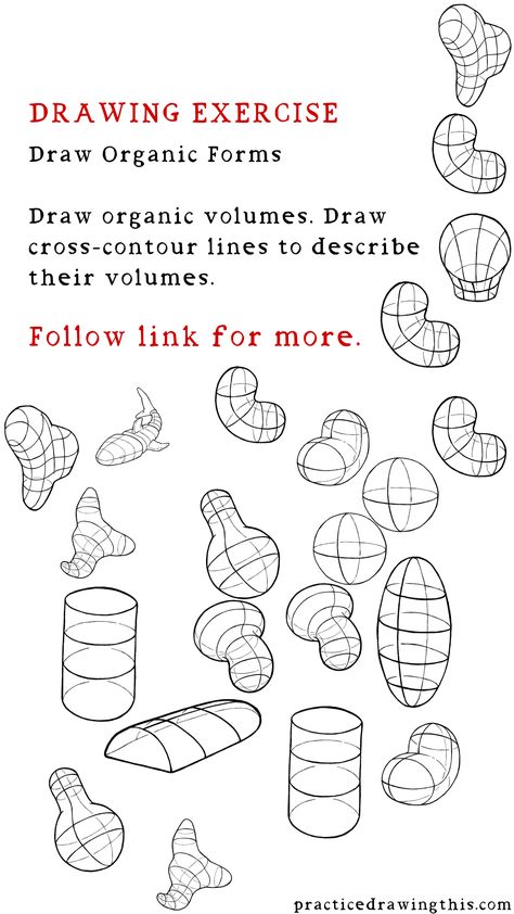 Drawing Exercises - Draw organic volumes. Draw cross-contour lines to describe their volumes. Volume Drawing Shape, Form Drawing Exercises, Basic Fundamentals Of Drawing, Drawing Exercises Shapes, Draw Organic Forms, Shape Study Drawing, Basic Forms Drawing Art Lessons, Shape Drawing Exercises, Drawing Organic Forms