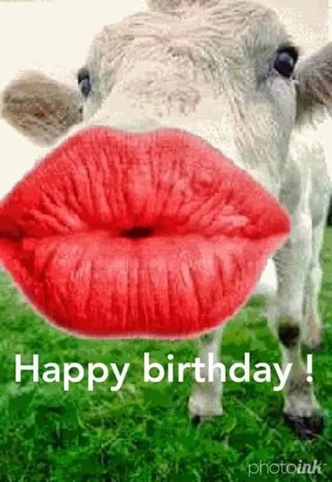 Silly Happy Birthday, 36 Birthday, Happy Birthday Wishes Sister, Birthday Animals, Happy Birthday Wishes For A Friend, Funny Happy Birthday Images, Funny Happy Birthday Song, Funny Happy Birthday Wishes, Birthday Greetings Funny