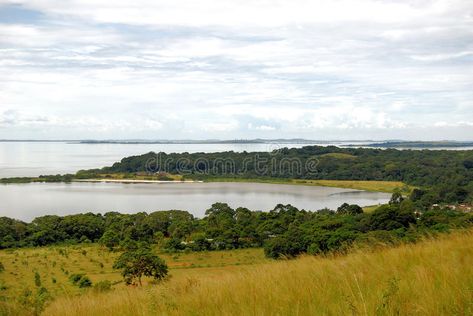 Africa Lake Victoria. Lake Victoria in Uganda East Africa ssese island travel is , #Sponsored, #Victoria, #Uganda, #Africa, #Lake, #East #ad Lake Victoria Uganda, Victoria Lake, Uganda Africa, Lake Victoria, Travel Island, Life Image, Island Travel, Ideas Creative, Design Display