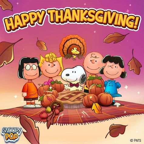 Happy Thanksgiving Thanksgiving Snoopy, Peanuts Thanksgiving, Happy Thanksgiving Pictures, Peanuts Woodstock, Happy Thanksgiving Images, Charlie Brown Thanksgiving, Iconic Celebrities, Peanuts Charlie Brown Snoopy, Snoopy Cartoon