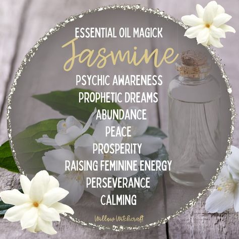 Gardenia Witchcraft, Jasmine Spiritual Meaning, Jasmine Witchcraft Uses, Jasmine Magical Properties, Jasmine Witchcraft, Jasmine Properties, Witchy Corner, Granny Witch, Witchy Plants