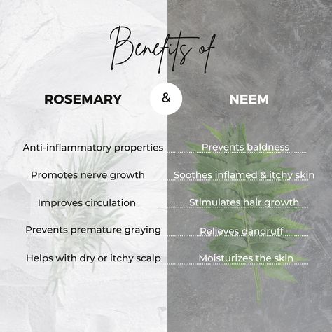 Rosemary Hair Benefits, Rosemary Oil For Hair Benefits, Rosemary Skin Benefits, Rosemary And Green Tea For Hair, Rosemary Leaves For Hair Growth, Neem Benefits Health, Neem Oil Benefits Hair, Baddies Captions, Rosemary Water Benefits Hair Growth