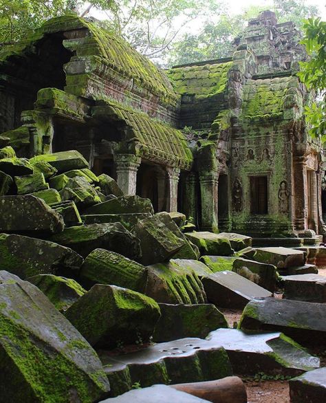 Ta Prohm, Architecture Antique, Angkor Wat Temple, Temple Ruins, Mayan Ruins, Destination Voyage, Ancient Temples, Angkor Wat, Ancient Architecture