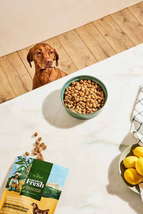 Dog Food Photoshoot, Dog Food Product Photography, Dog Food Photography, Pet Photoshoot, Product Still Life, Animal Photoshoot, Line Images, Food Photoshoot, Paid Ads