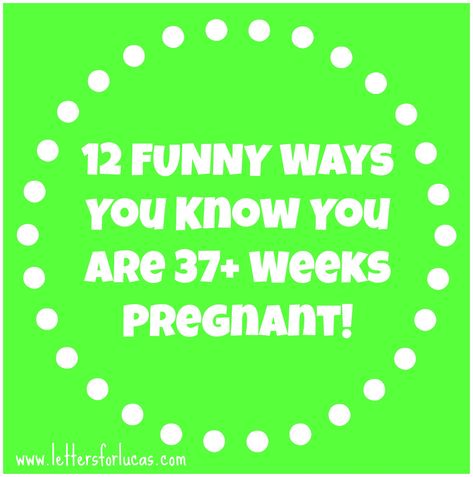 The last month of pregnancy feels strangely like the first month of pregnancy. 12 ways you know you're pregnant... 37 Weeks Pregnant Quotes, Last Month Of Pregnancy Humor, Pregnant Quotes, Last Month Of Pregnancy, Pregnancy Quotes Funny, Last Week Of Pregnancy, First Month Of Pregnancy, 37 Weeks Pregnant, Early Pregnancy Signs