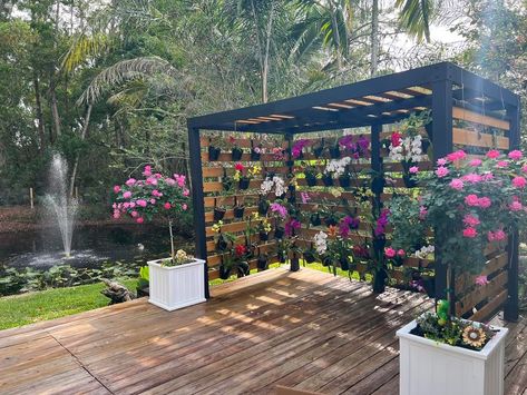 Orchids Tips and Tricks | My orchid house ❤️ My Mom loved all types of plants and flowers but especially orchids | Facebook Orchid Display Outdoor, Orchid Shed Ideas, Orchid Garden Ideas Backyards, Orchid House Greenhouses, Greenhouse Orchids, Orchids On Palm Trees, Orchid House, Garden Boxes Diy, Orchid Flower Arrangements