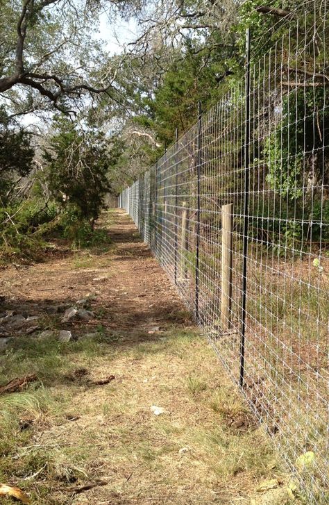 Cedar Split Rail Fence, Cattle Panel Fence, Texas Ranch Homes, Black Chain Link Fence, Ornamental Fence, Fence Weaving, Perimeter Fence, Panel Fence, Ranch Fencing