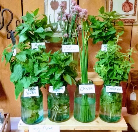 Farmers Market Herb Display, Farmers Market Items To Sell, Farm Stand Items To Sell, What To Sell At Farmers Market, Farmers Market Ideas To Sell, Farm Market Display, Selling Herbs, Shop Display Ideas, Farm Market Ideas