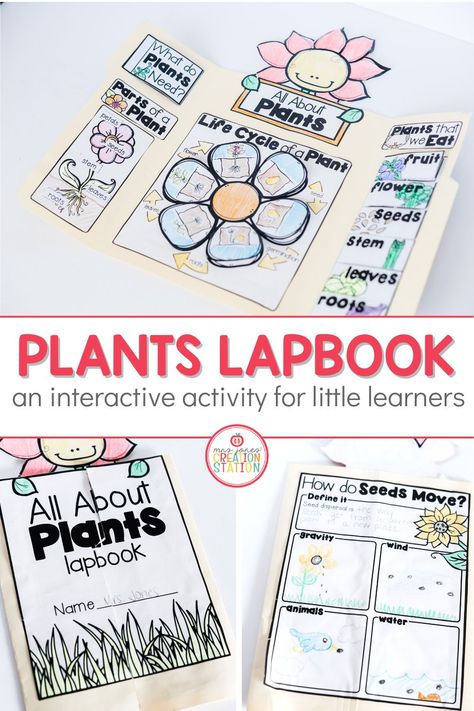 Life Science First Grade, Plants First Grade Science, All About Plants Kindergarten, Plant Activities For First Grade, Plant Life Cycle Activities 2nd Grade, Seed Lessons For Kids, Plant Lessons For Kindergarten, If You Plant A Seed Book Activities, Plants Unit Kindergarten