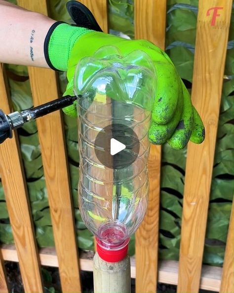 Fabiosa Tips&Tricks🪚Content Owners on Instagram: "Cool Raised Planters: Transforming Plastic Bottles with a Gardening Hack 🌱♻️  #FabiosaTipsAndTricks #GardeningHack #RaisedPlanters #PlasticBottleReuse #DIYGarden #EcoFriendlyGarden #GardenInspiration #UpcycledGarden" Planter Hacks, Bottle Planters, Raised Planters, Tomato Planter, Plastic Bottle Planter, Reuse Plastic Bottles, Upcycle Garden, Eco Friendly Garden, Instagram Cool