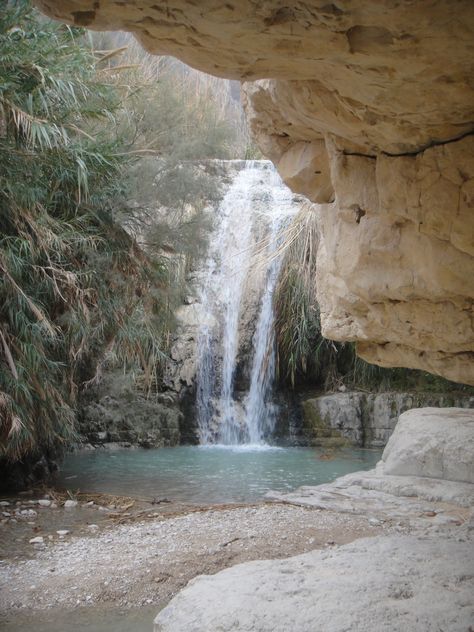 waterfall ein gedi nature reserve Ein Gedi, Sea Can, Red Sea, Dead Sea, Mediterranean Sea, Nature Reserve, The Dead, Egypt, Oasis