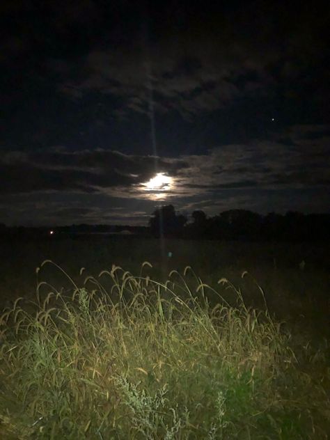 Outdoor Dark Aesthetic, Dark Woodsy Aesthetic, Random Beautiful Pictures, Nature Night Aesthetic, Grass At Night, Dark Nostalgia, Sleepy Pfp, Pretty Night Sky, Dark Meadow