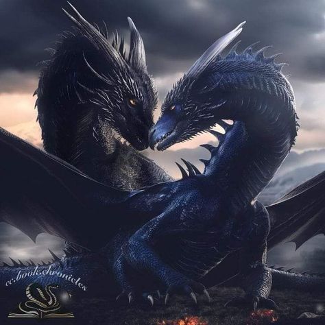 Sgaeyl And Tairn, Tairn And Sgaeyl, Fourth Wing Dragon Wallpaper, Forth Wing Tattoo Ideas, Tarin Forth Wing, Forth Wing Wallpapers, Tairn And Andarna, Andarna Fourth Wing, Fourth Wing Threshing