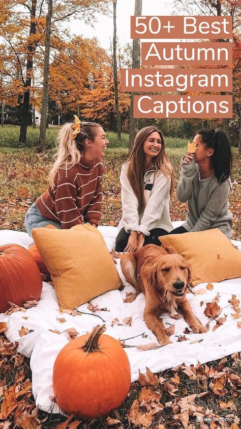 Here is a list of some of the best insta worthy captions that will help you stand out and give em’ “pumpkin” to talk about! 21st Night Of September, When September Ends, Fall Instagram, Autumn Instagram, Autumn In New York, Pumpkin Latte, Song Lyric Quotes, Anne Of Green, Weekend Plans