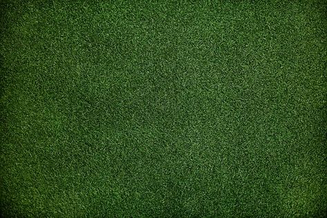 70,000+ Best Free Background Images & Pictures [HD] - Pixabay Green Monochrome, Fake Turf, Green Grass Background, Grass Background, Grass Wallpaper, Grass Pattern, Free Background Images, Fake Grass, Artificial Lawn