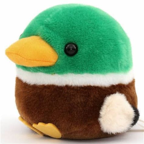 Japan Animals, Bird Plush, Cute Squishies, Duck Bird, Amazon Canada, Kawaii Plush, Kawaii Plushies, Cute Stuffed Animals, Cute Toys