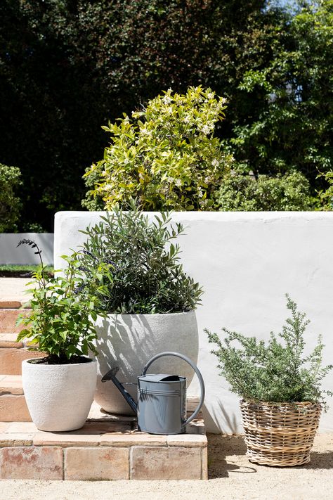 5 Ways to Elevate Your Outdoor Space - Studio McGee Potted Plants Backyard, Patio Decor On A Budget, Yard Zen, Pretty Patios, Plant Styling, Porch Planters, Potted Plants Outdoor, Front Courtyard, 4 December