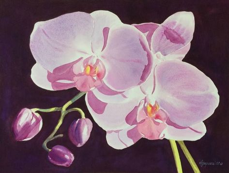 Orchid Bathroom, Rainforest Flowers, Pink Floral Wall, Orchid Wall, Orchid Wall Art, Orchids Painting, Feminine Office, Miniature Orchids, Black Canvas Paintings