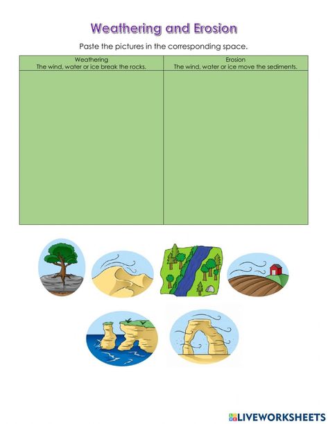 Erosion Worksheet, Erosion Lessons 2nd Grade, Weathering And Erosion Activities, Printable Brackets, Weathering Erosion And Deposition, Weathering Erosion Deposition, Weathering And Erosion, Money Worksheets, Logic Puzzles