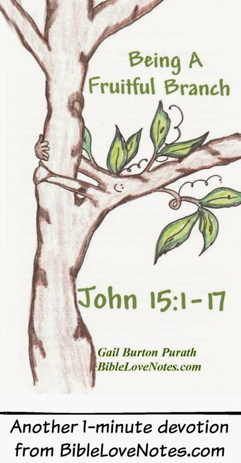 Become Productive, Beach 2024, Bible Love Notes, Vine And Branches, Bible Drawing, True Vine, Bible Printables, Philippians 2, Bible Love