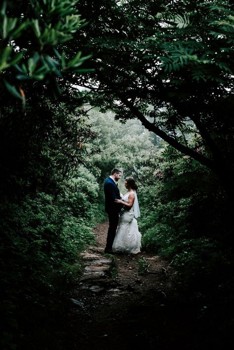 Elope Asheville Nc, Asheville Nc Elopement, Elopement Poses, Nc Elopement, West Virginia Vacation, Nature Elopement, Elopement Aesthetic, Asheville Elopement, Craggy Gardens