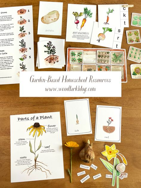 Garden-based Homeschool Resources: Kindergarten and Elementary – Woodlark Blog Gardening School Activities, Spring Home School Activities, Homesteading Unit Study, Homeschool Kindergarten Crafts, Homeschool Gardening Curriculum, Spring Homeschool Lessons, Garden School Theme, Garden Lessons For Kids, Spring Homeschool Ideas