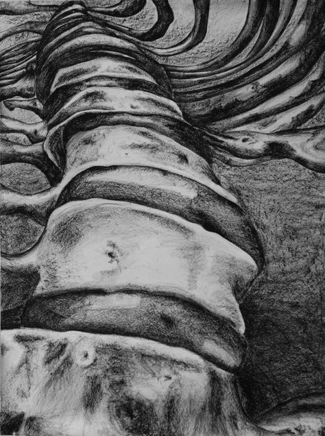 Column Drawing, Bone Drawing, Drawing With Charcoal, Anatomical Art, Vertebral Column, Ap Drawing, Skeleton Drawings, Drawing Charcoal, Observational Drawing