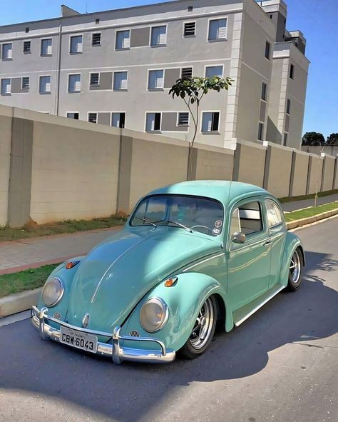 Volkswagen Beetle Vintage, Vw Super Beetle, Volkswagen Aircooled, Vw Sedan, Vw Art, Volkswagen Bug, Bmw Wallpapers, Vw Aircooled, Vw Beetle Classic