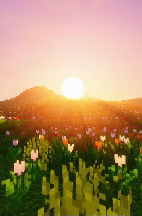 Minecraft Sunset, Minecraft Backgrounds, Minecraft Background, Pretty Minecraft, Minecraft Update, Build Minecraft, Aesthetic Minecraft, Minecraft Aesthetic, Mc Wallpaper